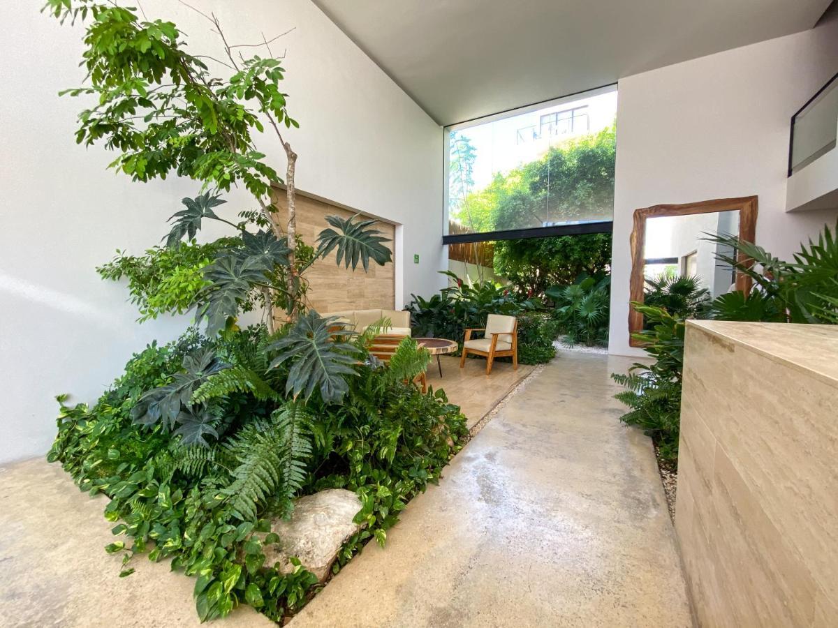 Big Studio At Kaab By The Beach With Roof Top Pool, Sauna And Jacuzzi Near Paseo Del Carmen Mall Playa del Carmen Eksteriør bilde