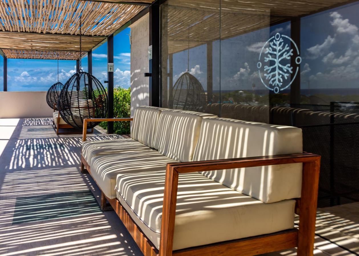 Big Studio At Kaab By The Beach With Roof Top Pool, Sauna And Jacuzzi Near Paseo Del Carmen Mall Playa del Carmen Eksteriør bilde