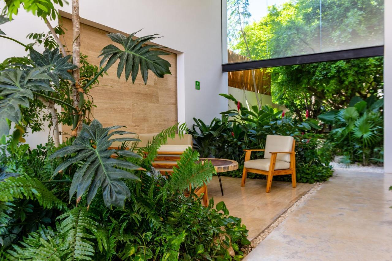 Big Studio At Kaab By The Beach With Roof Top Pool, Sauna And Jacuzzi Near Paseo Del Carmen Mall Playa del Carmen Eksteriør bilde