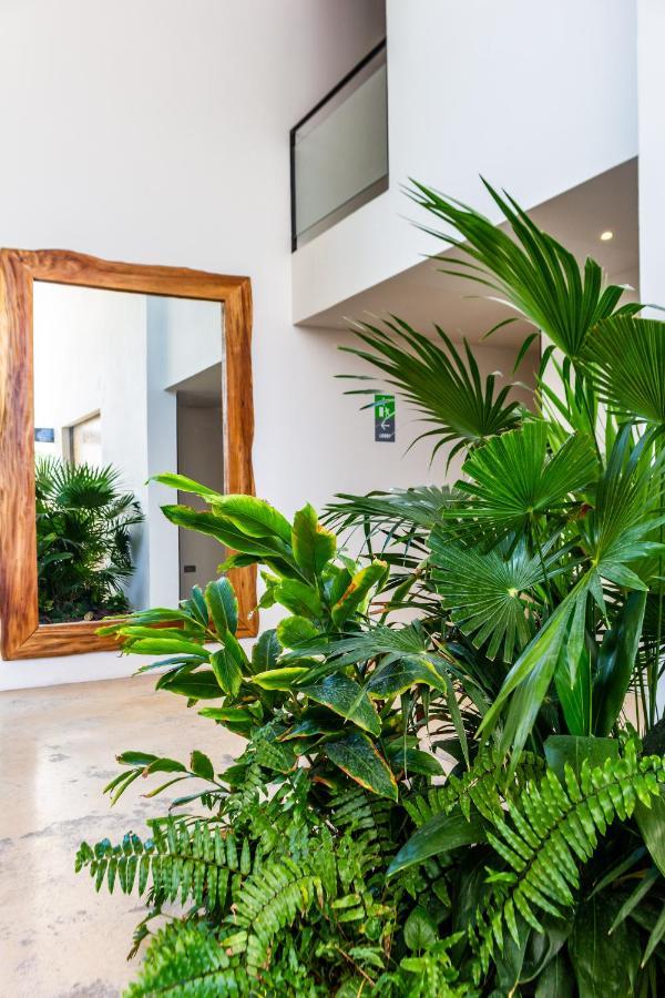 Big Studio At Kaab By The Beach With Roof Top Pool, Sauna And Jacuzzi Near Paseo Del Carmen Mall Playa del Carmen Eksteriør bilde